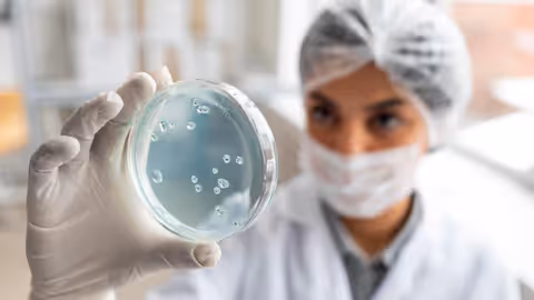 Antibody Development Guide: Methods and Laboratory Understanding